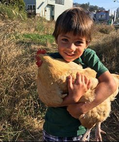 Boy with a rooster